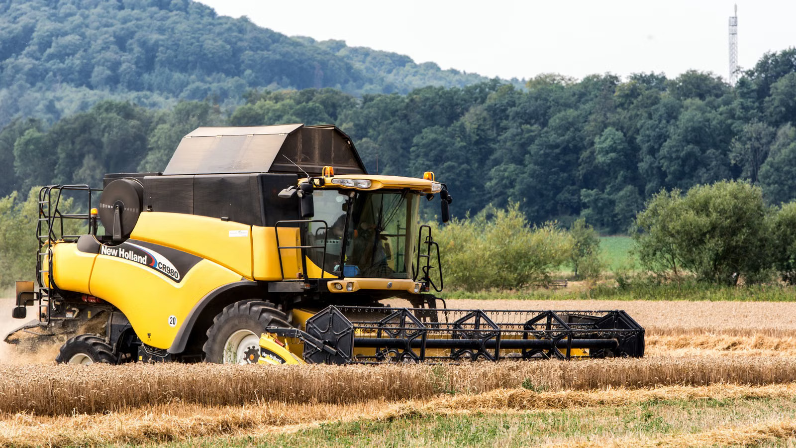 Fast Orders, Faster Harvests