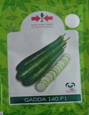 GADDA 140 F1 BOTTLEGOURD SEEDS –EAST WEST SEEDS