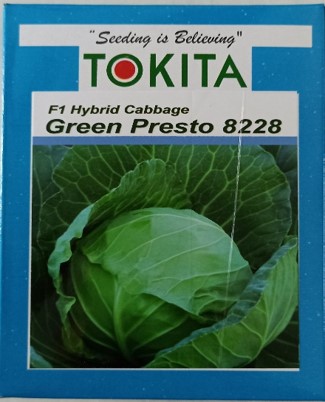 GREEN PRESTO 8228 F1 HYBRID CABBAGE SEEDS – TOKITA SEEDS