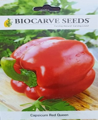 CAPSICUM RED QUEEN - BIO CRAVE SEEDS SEEDS